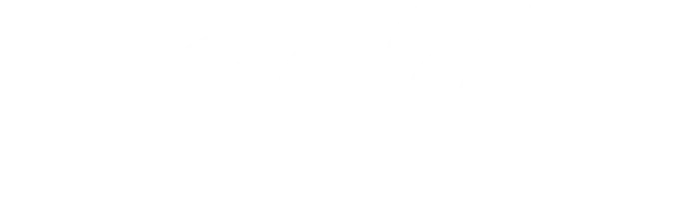 Napis 'Stylovi' - zespół muzyczny, grający muzykę disco i discopolo.